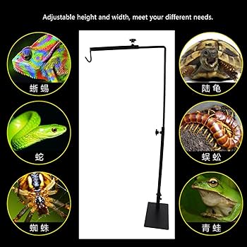 Amazon | 爬虫類クリップスタンド 爬虫類 用ライトスタンド 爬虫類